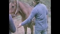 hd la perdizione aka marinas animals 1986 sex
