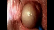 hd внутреннее влагалище секс sex
