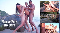 hd la jolie brésilienne heloa green baisée devant plus de 60 personnes à la plage dap dp anal sexe en public monster sex