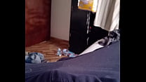 hd she comes into my room and does this knowing its a sin sex